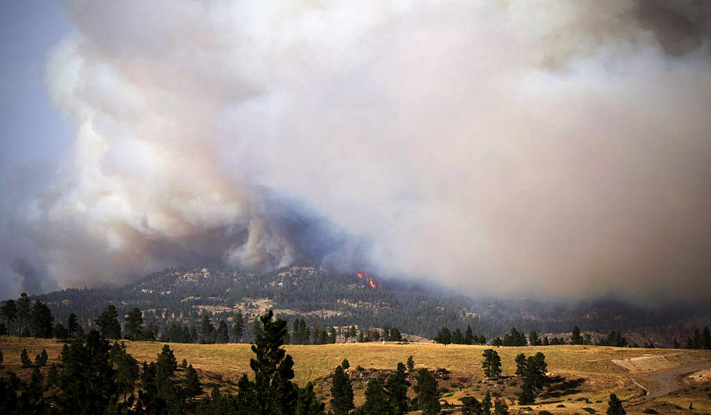 Roundup Fire